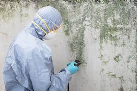 Best Mold Removal for HVAC Installations  in Sweetser, IN